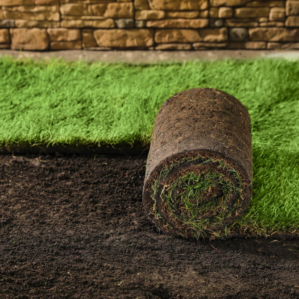 Premium turf and topsoil